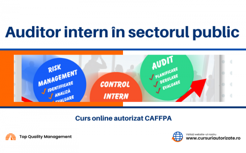 Curs Auditor intern   n sector
