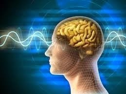 Curs Bioenergie Managementul s