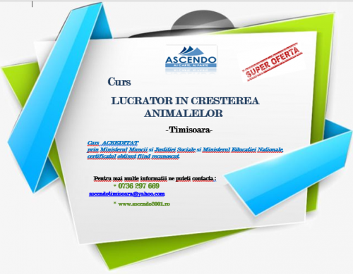 CURS DE CALIFICARE