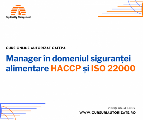 Curs Manager   n domeniul sigu