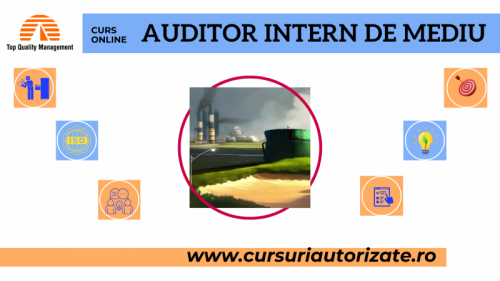 Curs online Auditor Intern de 