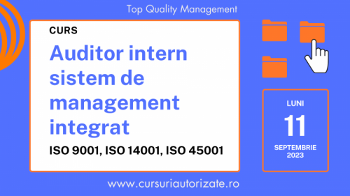 Curs online Auditor intern SMI