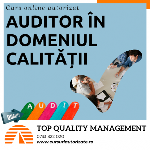 Curs online Auditor   n Domeni