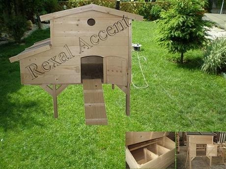 Custi  Cotete pentru gaini oua