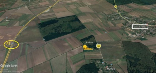 Dascalu teren 22000 mp latura 