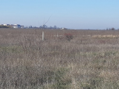 De inchiriat   vanzare  teren 