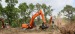 pensule speciale