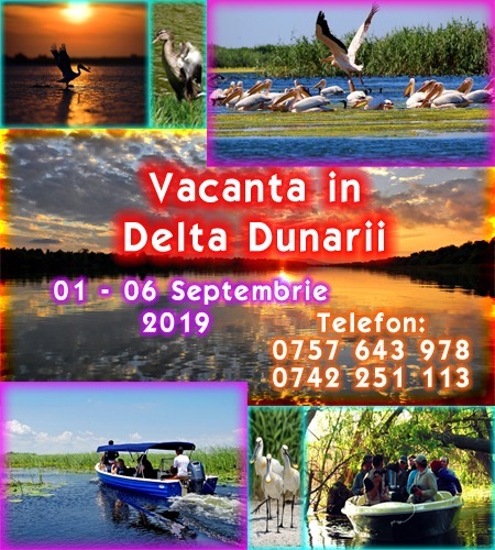 Delta Dunarii 1    06 Septembr
