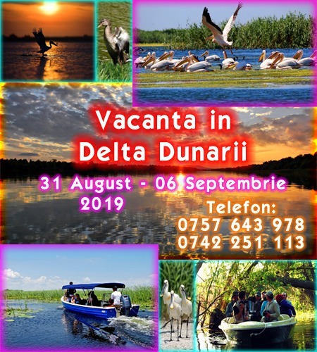 Delta Dunarii 31 August     06