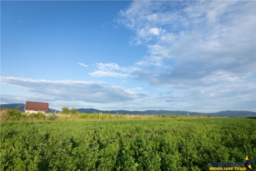DESTINAT  18.200 mp teren  liv