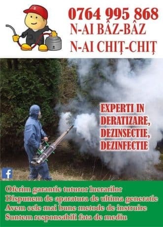 Dezinsectie Deratizare Dezinfe