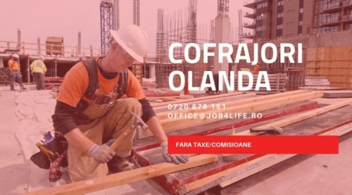 ECHIPE COFRAJORI de la 2200 eu