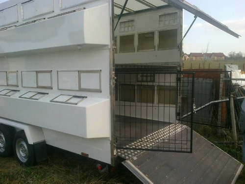 Efectuez transport cu masini 1
