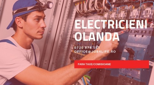 ELECTRICIENI OLANDA
