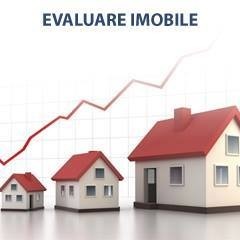Evaluator imobiliar membru ANE
