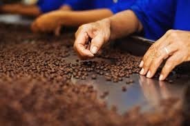Fabrica de cafea Germania