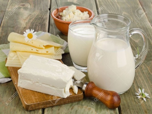 fabrica de lactate germania