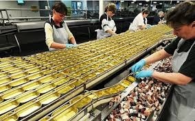 Fabrica de preparate si conser