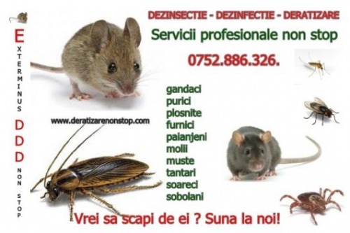 Firma Deratizare Dezinsectie n