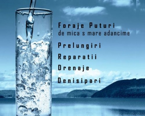 Foraje Puturi
