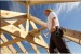 Formwork  or wood carpenter