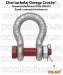 Gambeti   shackles  forjate Cr