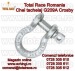 Gambeti   shackles forjate G20