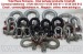Gambeti   shackles