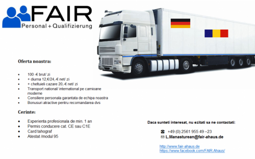 GERMANIA Sofer TIR cu experien