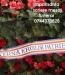 sistemul de