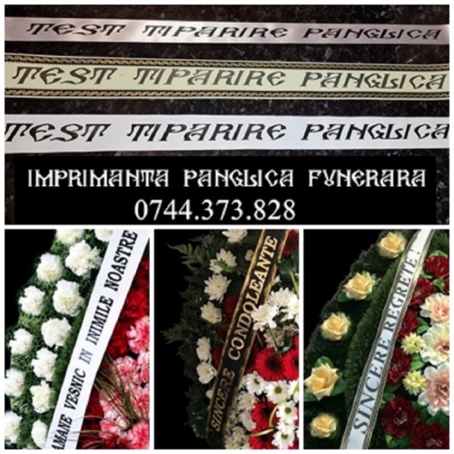 Imprimanta scriere panglica fu