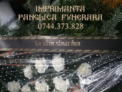 Imprimanta scriere panglici co