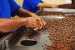 Locuri de munca  fabrica de cafea  Germa