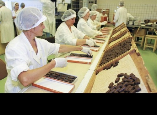 Locuri de munca fabrica de cio