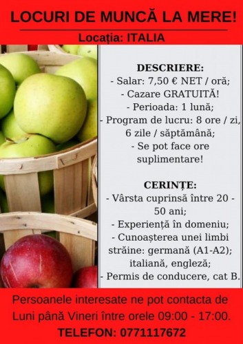 Locuri de munca la mere