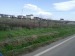 terenuri in