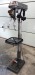 motor 2000