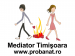 Mediator Timisoara birou de me