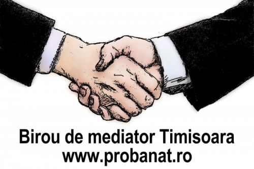 Mediator Timisoara birou de me