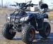 nitro germany