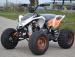 nitro germany