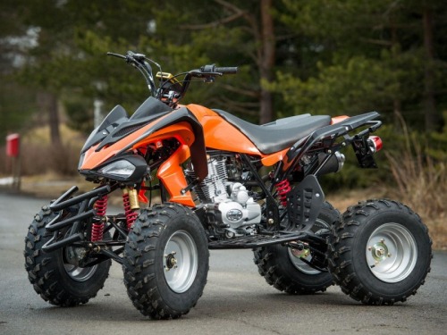 Model Mega SpeedyNitro Germany