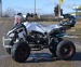 nitro germany