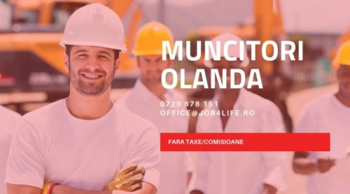 MUNCITORI STRUCTURI METALICE O