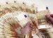oferta speciala