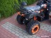   OFERTE SPECIALE DE PASTE  