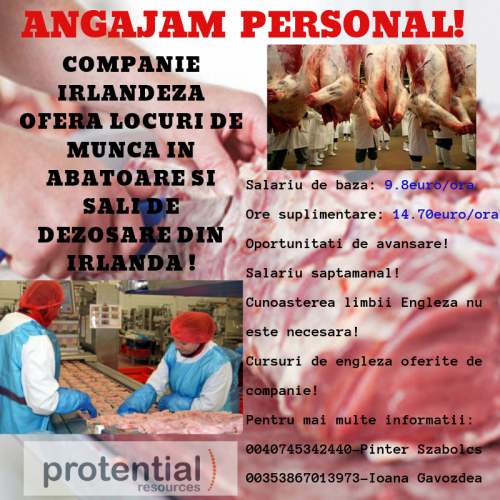 Operatori Generali la abator i