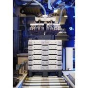 Paleti plastic pentru sarcini 