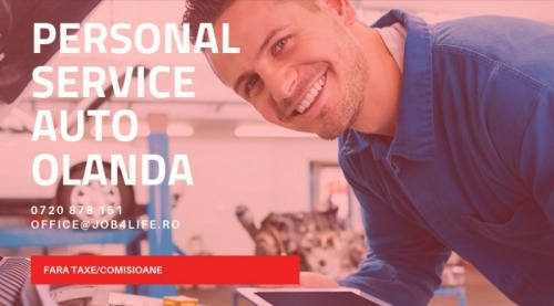 PERSONAL SERVICE AUTO