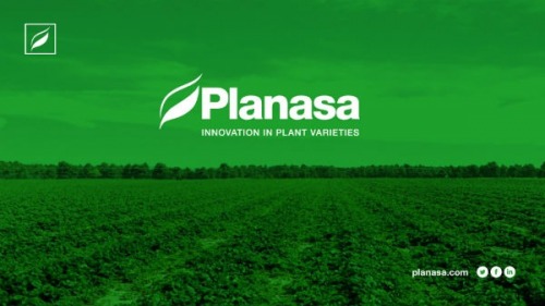 PLANASA Locuri de munca in agr